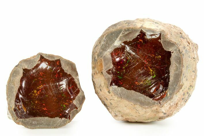 Huge, Ethiopian Chocolate Opal Nodule - Yita Ridge #367223